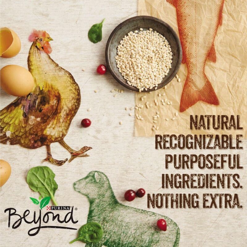 Purina Beyond Chicken, Carrot and Pea Ground Grain Free Wet Dog Food Natural Pate with Added Vitamins and Minerals - (Pack of 12) 13 oz. Cans: Pet Supplies: Amazon.com