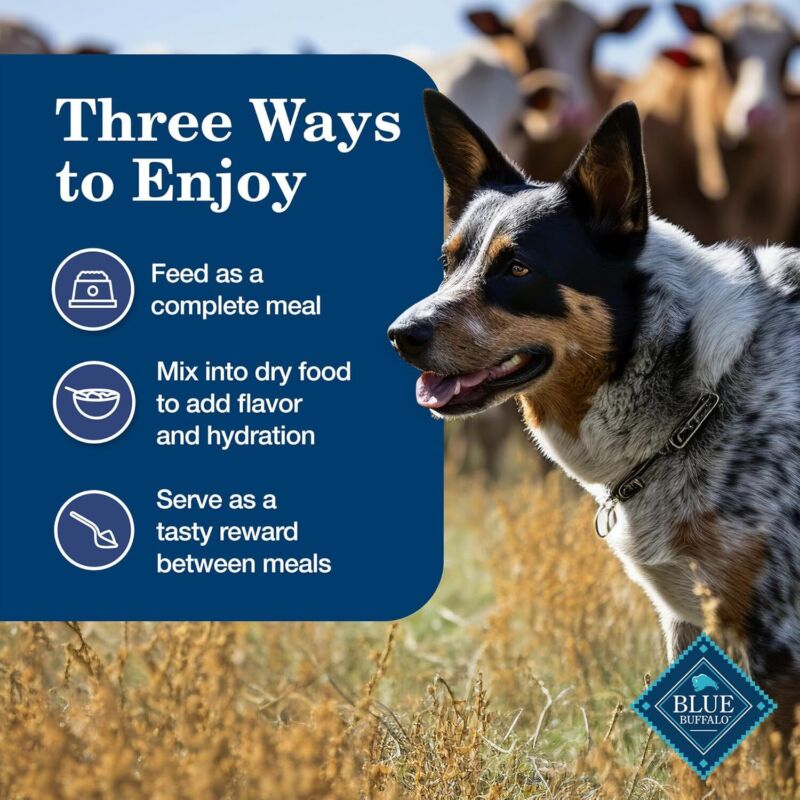 Blue Buffalo Homestyle Recipe Adult Wet Dog Food, Made with Natural Ingredients, Chicken Dinner With Garden Vegetables, 12.5-oz Can (Pack of 12): Pet Supplies: Amazon.com