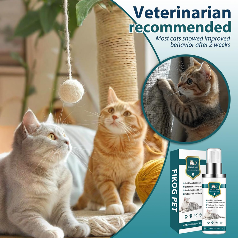 Acctndok Enhanced Cat Deterrent Spray, Natural Safe Cat Repellent Indoor and Outdoor, Effective Cat Scratch Deterrent Training Aid for Furniture, Sofas, Rugs, Curtain Protection (Citrus) : Pet Supplies