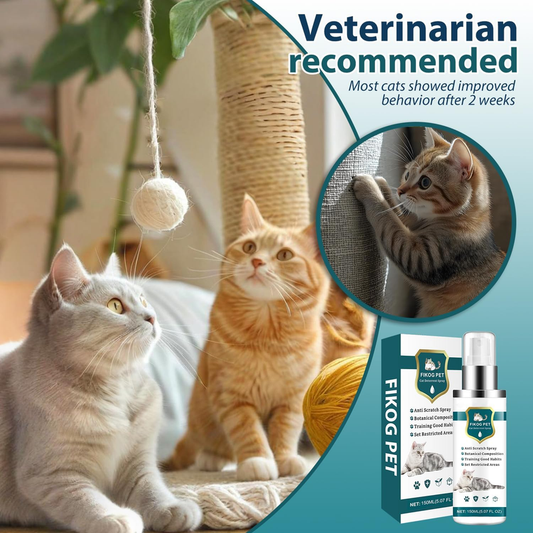 Acctndok Enhanced Cat Deterrent Spray, Natural Safe Cat Repellent Indoor and Outdoor, Effective Cat Scratch Deterrent Training Aid for Furniture, Sofas, Rugs, Curtain Protection (Citrus) : Pet Supplies