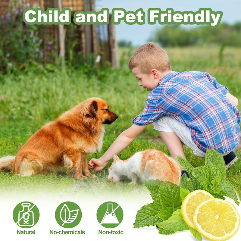 apohen Cat Repellent Outdoor : Pet Supplies