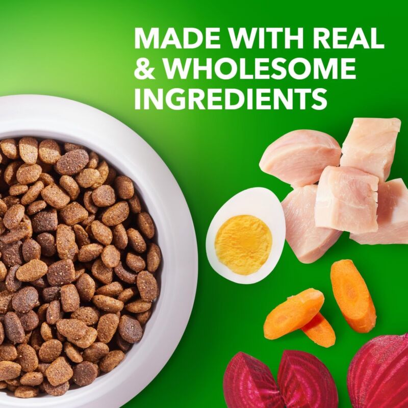 IAMS Smart Puppy Large Breed Dog Food Dry with Real Chicken, 30.6 lb. Bag : Pet Supplies