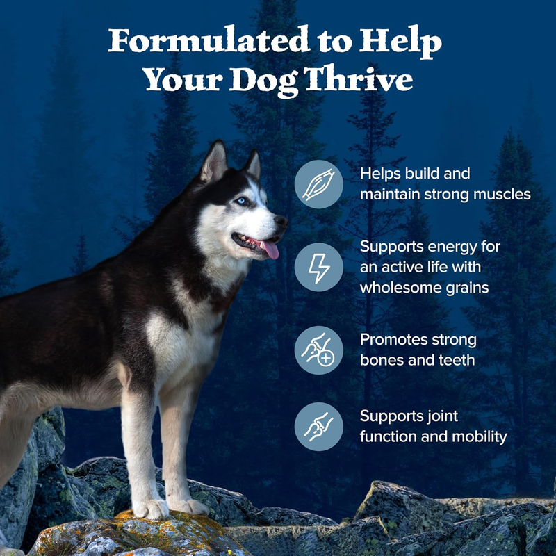 Blue Buffalo Wilderness Adult High-Protein Dry Dog Food Wholesome Grains Natural Ingredients : Pet Supplies