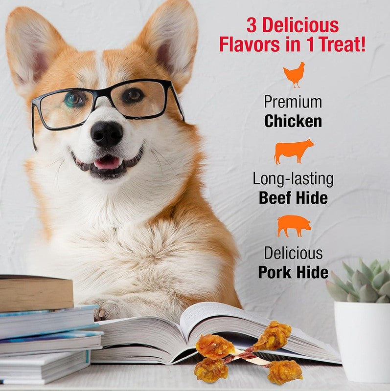 Good 'n' Fun Triple Flavor Double Pops with Chicken, Gourmet Dog Snacks, 5.5 Ounces : Grocery & Gourmet Food